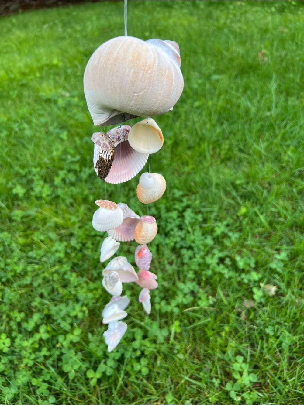Handmade Seashell Wind Chime - Natural Shells - Picture 4 of 10